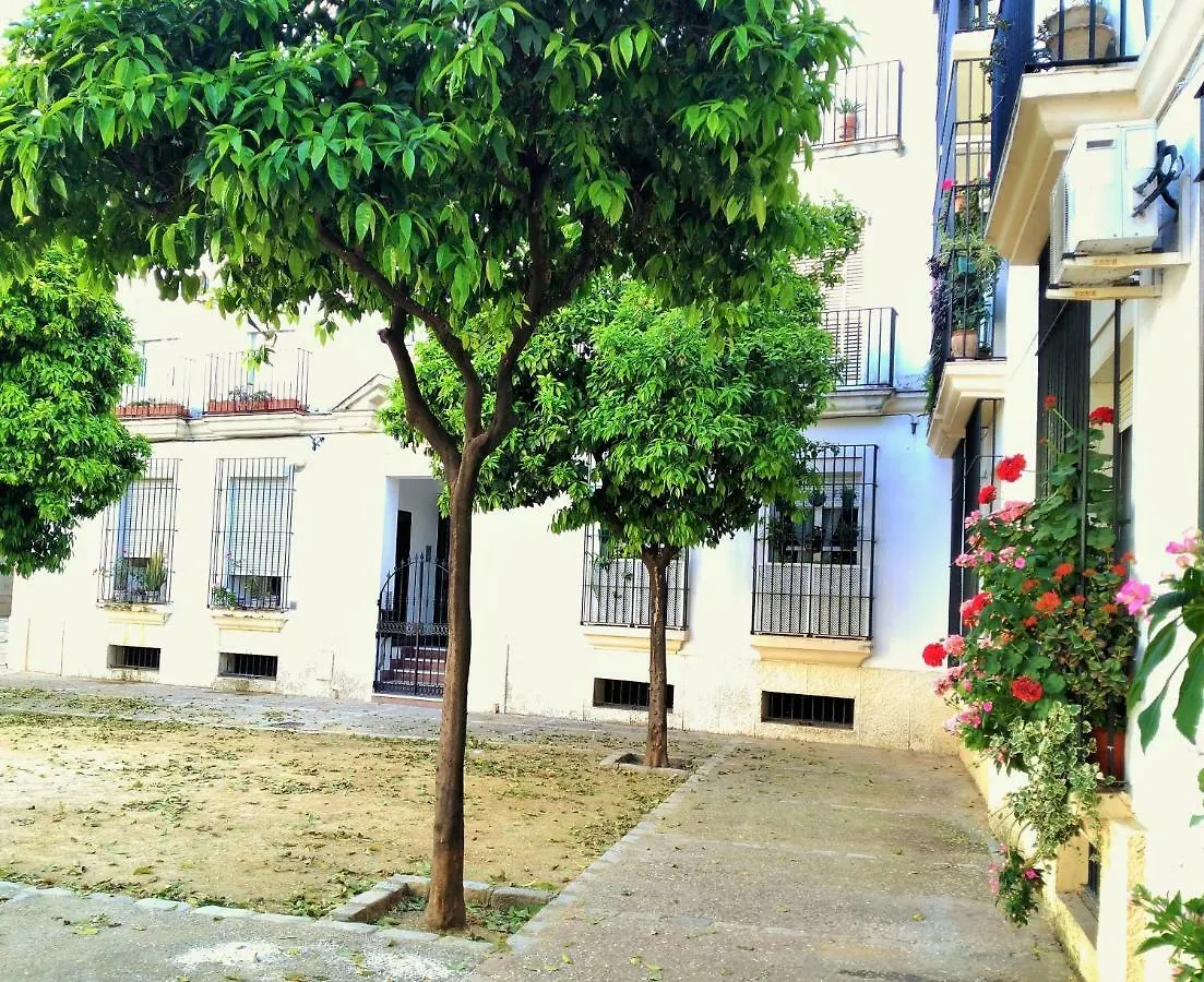 Apartamento Plaza Compañia Jerez Jerez de la Frontera 0*,