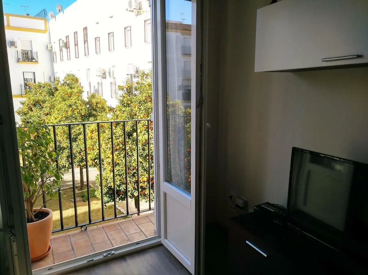 Apartamento Plaza Compania Jerez Jerez de la Frontera Apartment